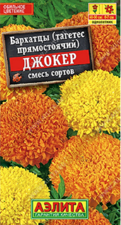 Бархатцы Джокер, смесь сортов