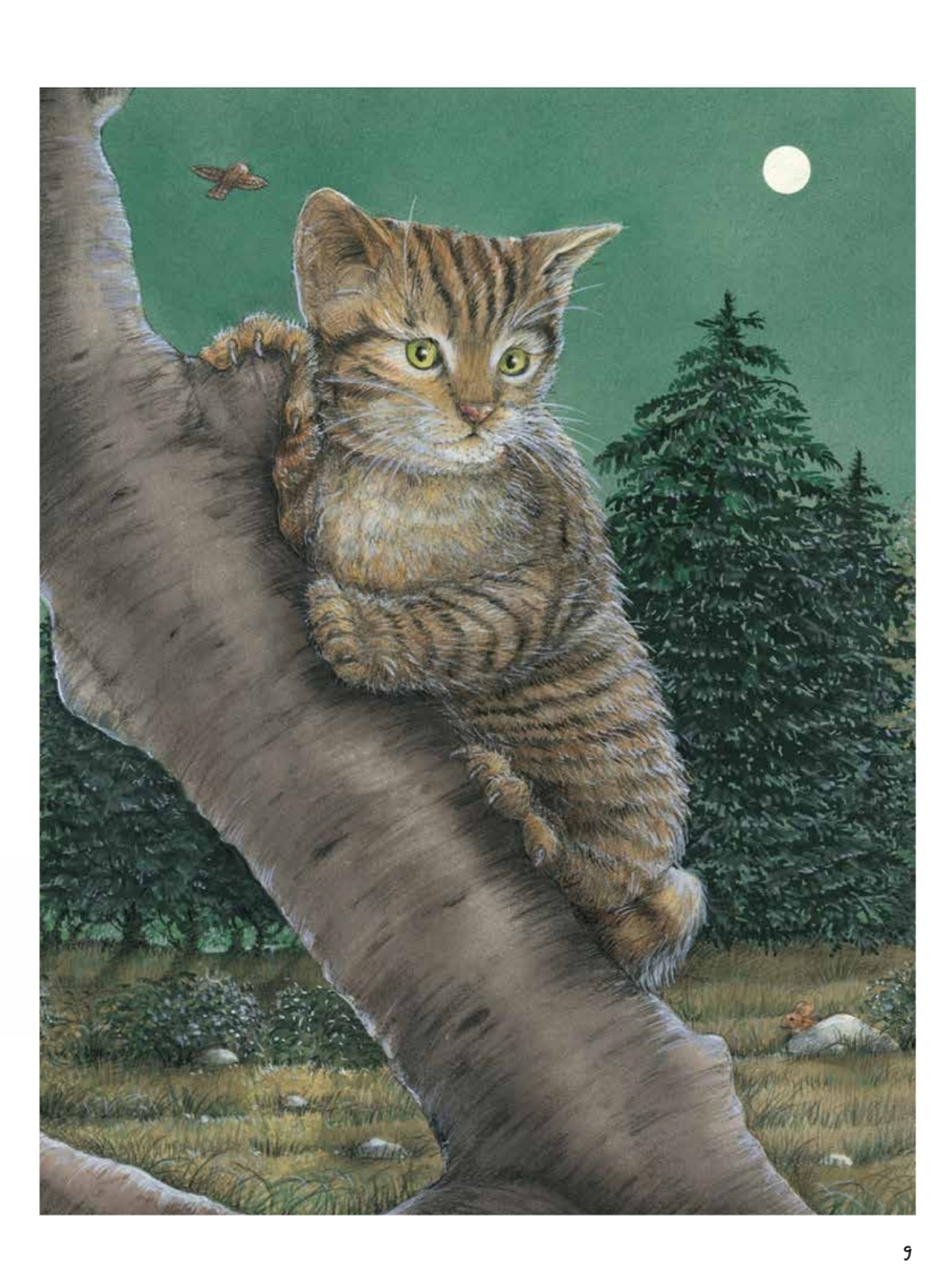 Моя самая красивая книга о кошках и собаках
