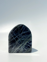 Срез Лабрадора M