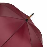 Автоматический зонт TANGO