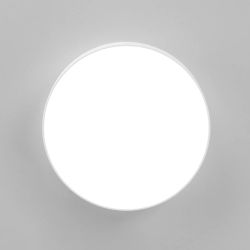 Citilux Тао CL712180N LED Светильник потолочный с диммером Белый