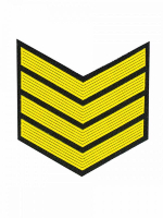 Курсовка пластизол. 4 курс