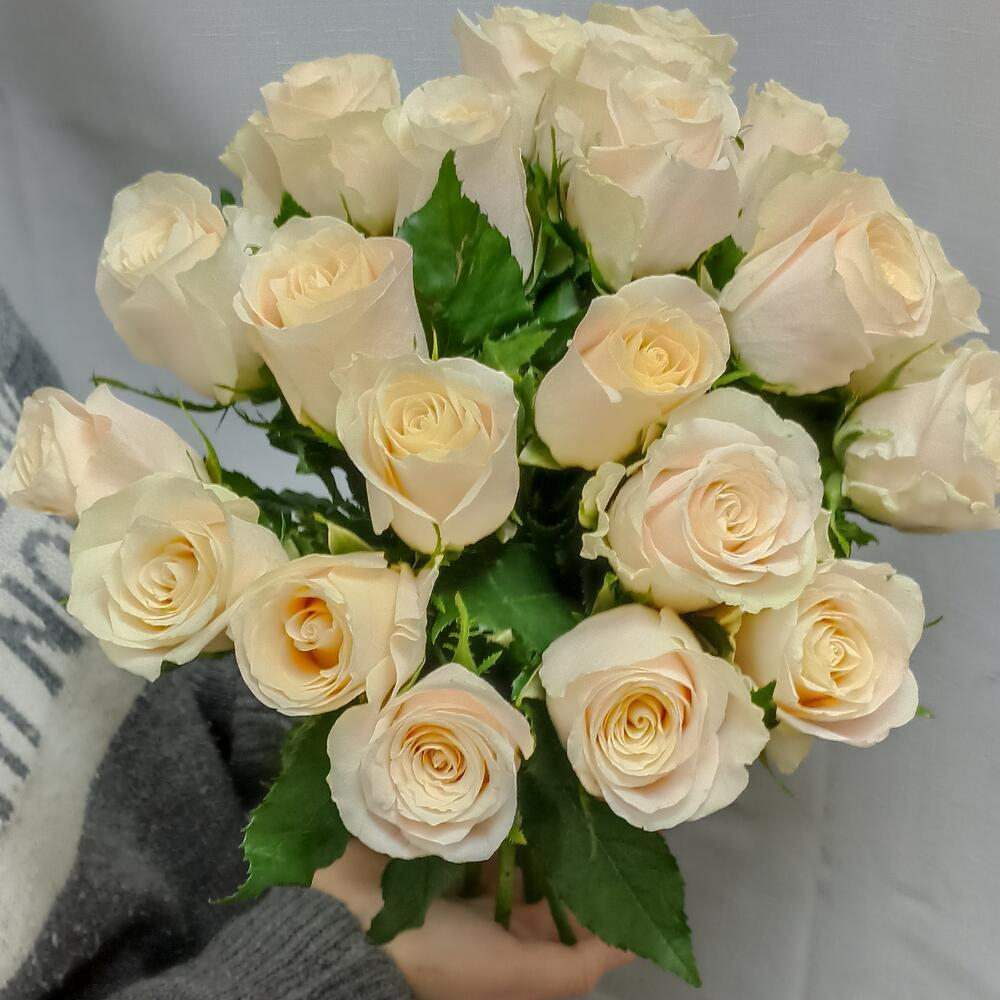 Букет из кремовой Кенийской розы 21 шт высотой 35 см
