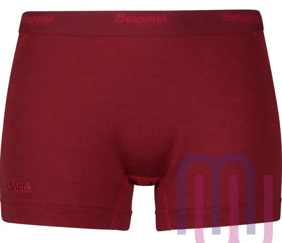 Шорты женские Bergans Fjellrapp Boxer 1973