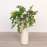 Искусственные цветы «Волшебство трав» 37см Эвкалипт темно-зеленый