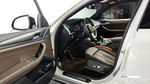 BMW X4 (G02) xDrive20i M Sports X (11.2020)