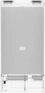 Холодильник Liebherr Rf 4200