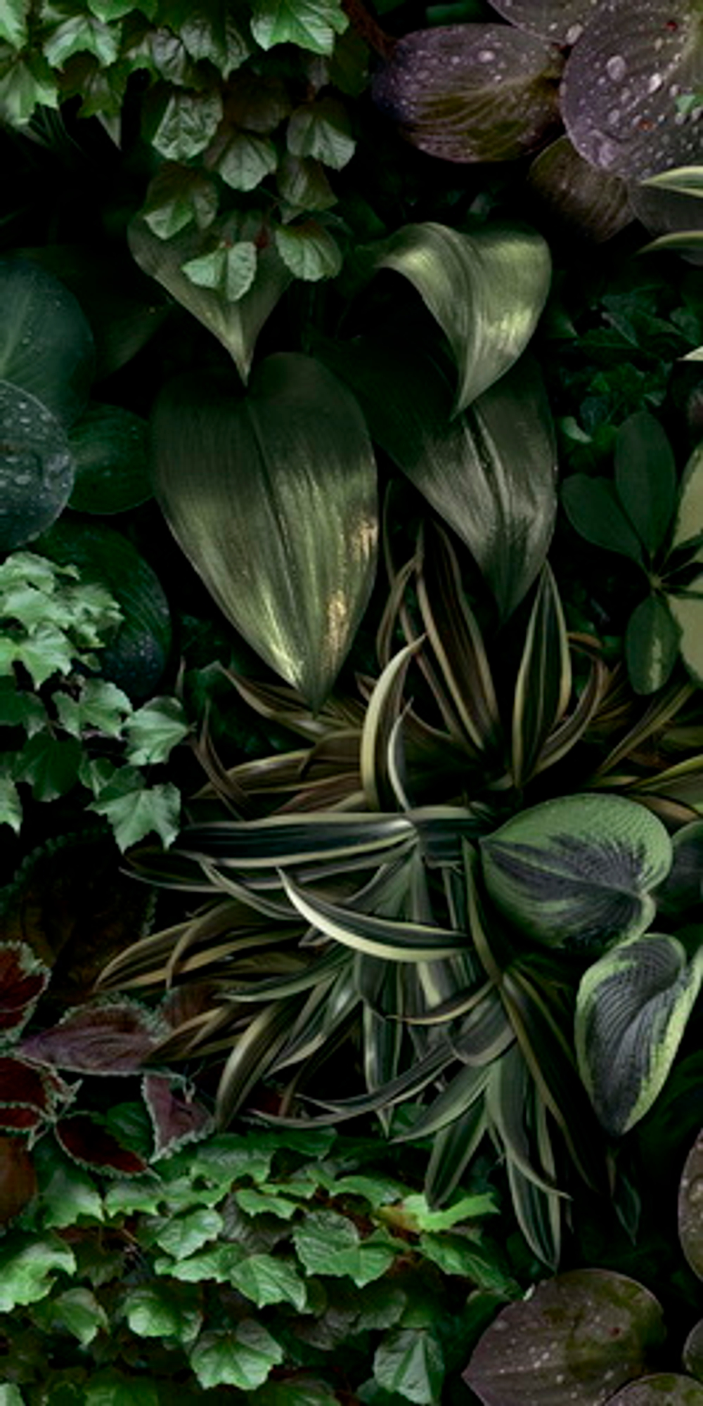 Декоративные элементы 41zero42 PAPER41 PRO JANE B 50х110