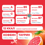 Газированная вода со вкусом Грейпфрут GORJI NRG Горджи 0,5 л, упаковка 12 шт