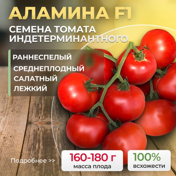 АЛАМИНА F1 семена томата Rijk Zwaan купить
