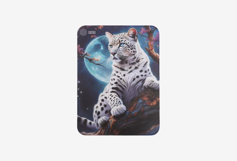 CS-MP-PRO16XL_0126522102532
