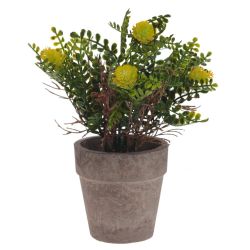 GAEM Цветочная композиция, L9 W9 H18 см, 5в.