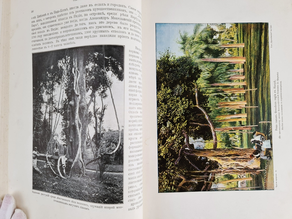 "Чудеса природы. Популярные очерки, посвященный описанию любопытнейших явлений и достопримечательностей трех царств природы. В 2-х томах". В.М.Шимкевич. 1915г. - антикварная книга