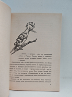 Рассказы о лесных птицах