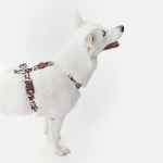 Анатомическая шлейка Cow