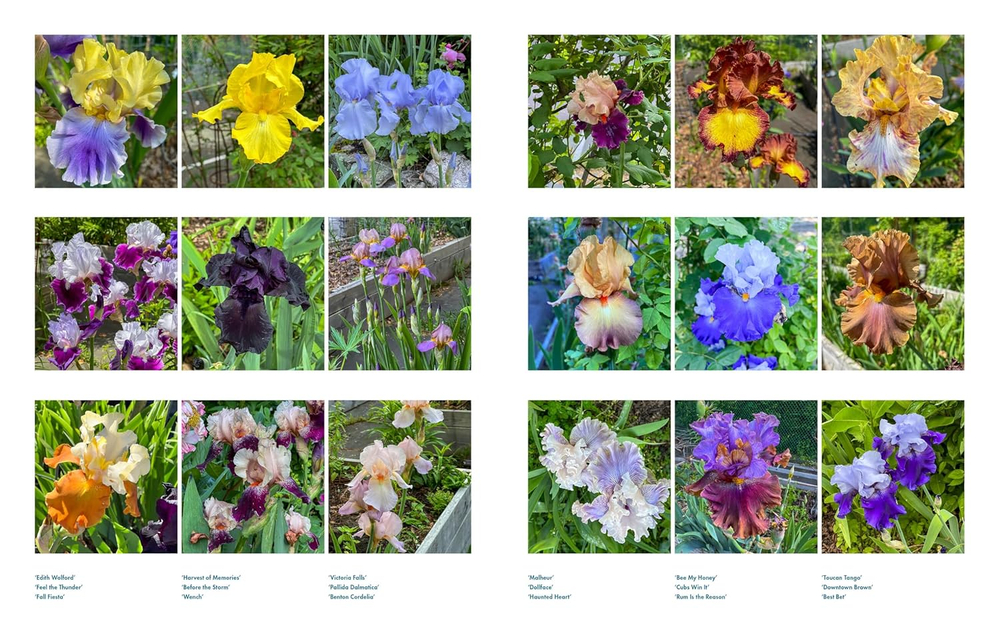 Life with Flowers: Inspiration and Lessons from the Garden