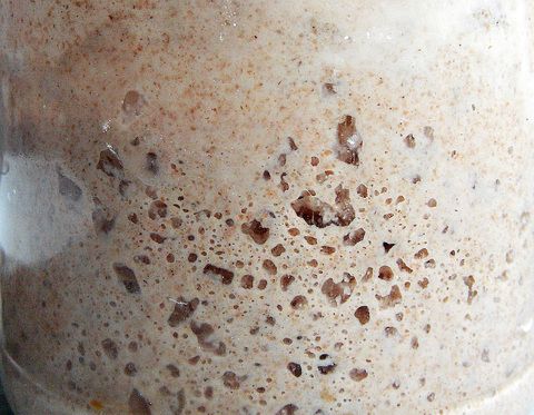 Как правильно перекормить ржаную закваску