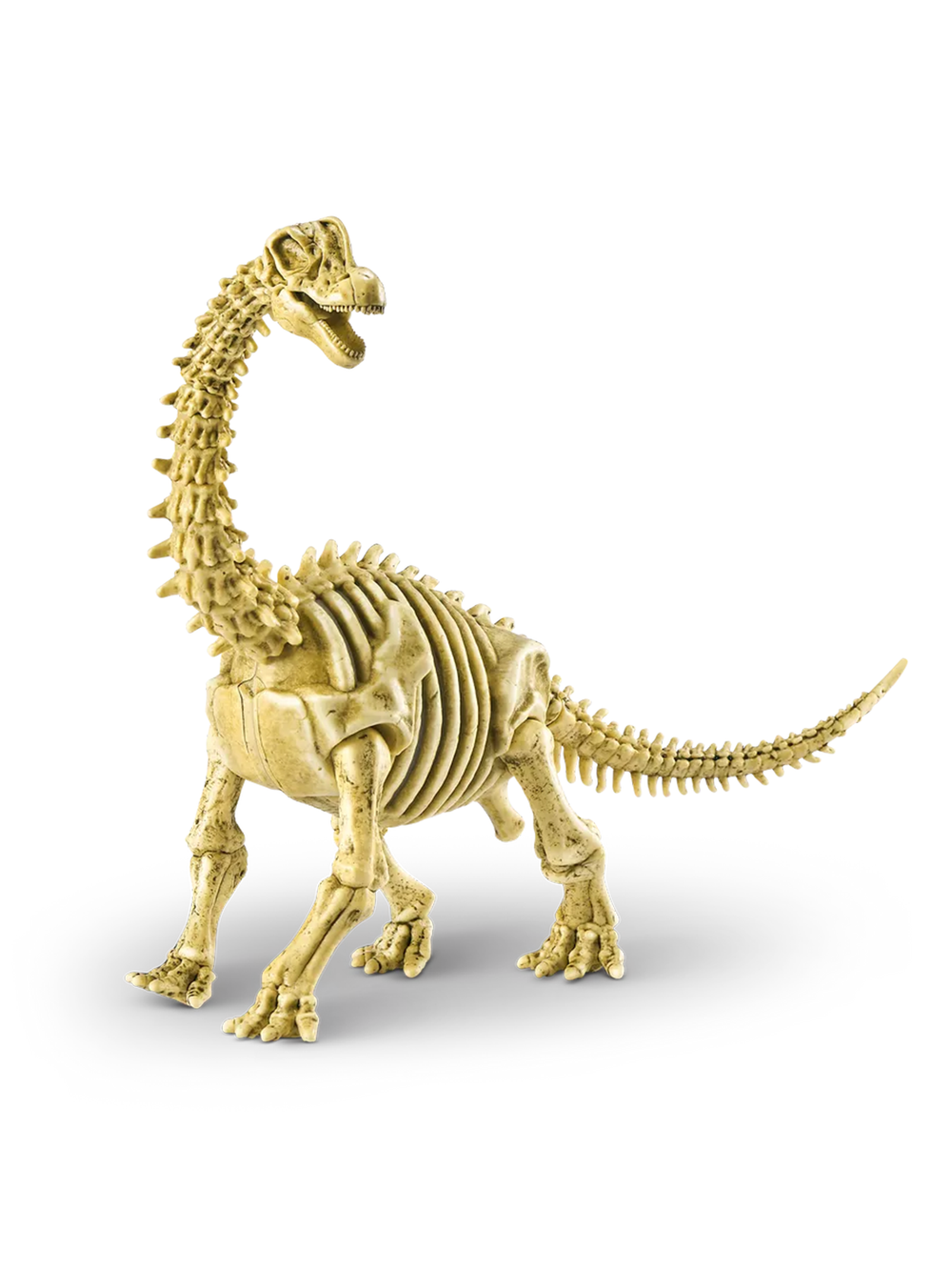 Набор ZURU Robo Alive — Dino Fossil 71115UQ1