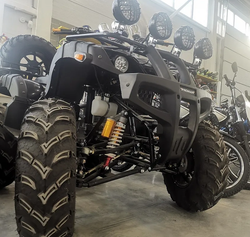 Квадроцикл PROMAX LEO 300 Max (кардан)