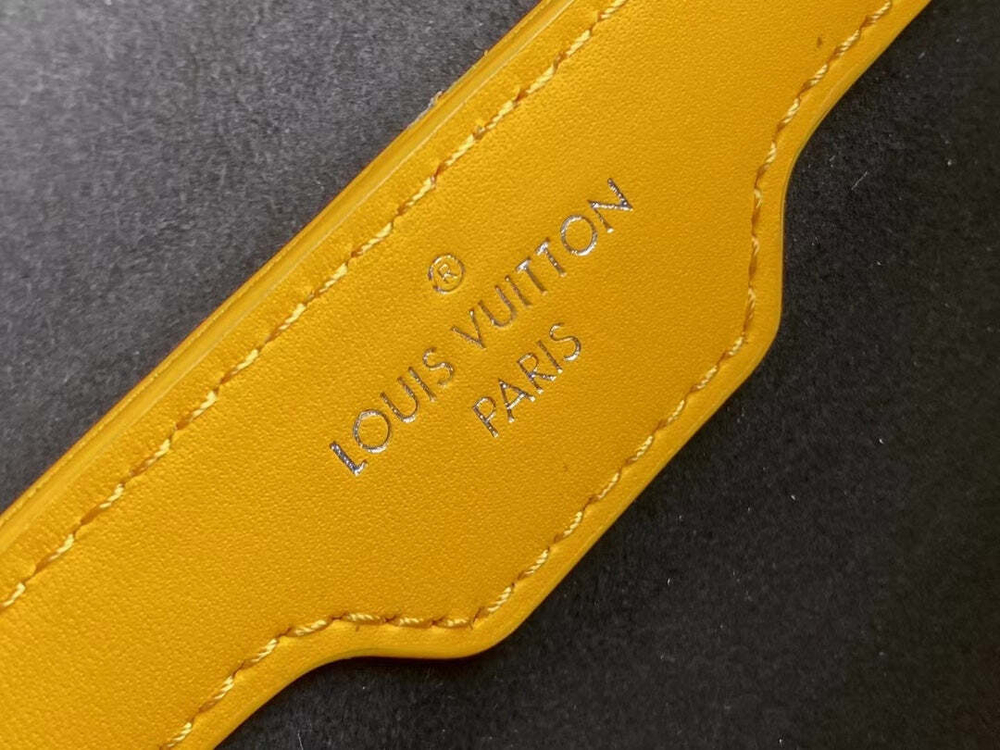 Louis Vuitton Papillon Trunk