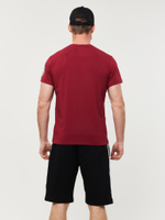 Футболка Bad Boy Prime Walkout 2.0 T-shirt темно-красный