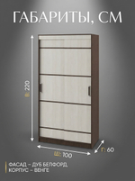 Шкаф-купе Лотос 100х220х60 см раздвижной вместительный