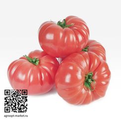 Вермиленза F1 семена томата индетерминантного (Enza Zaden / Энза Заден)