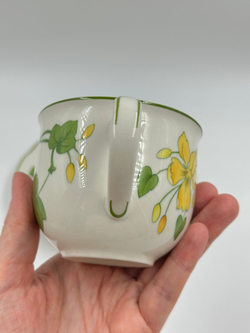 Чайная пара Villeroy & Boch, Geranium
