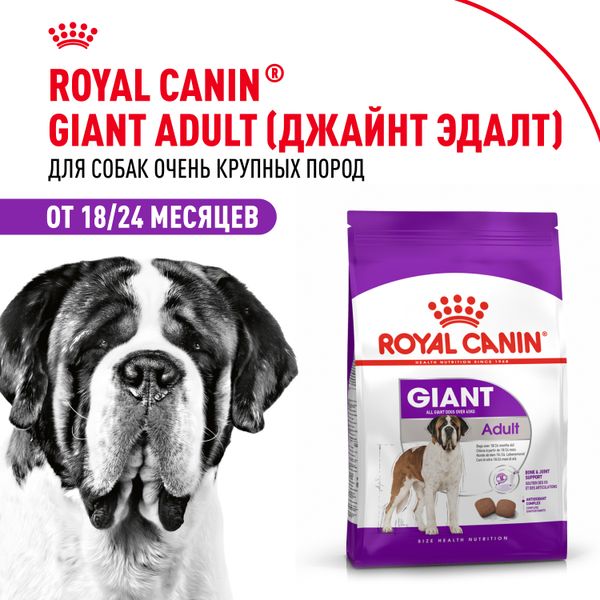 Сухой корм Royal Canin Giant Adult для взрослых собак очень крупных размеров от 18 месяцев