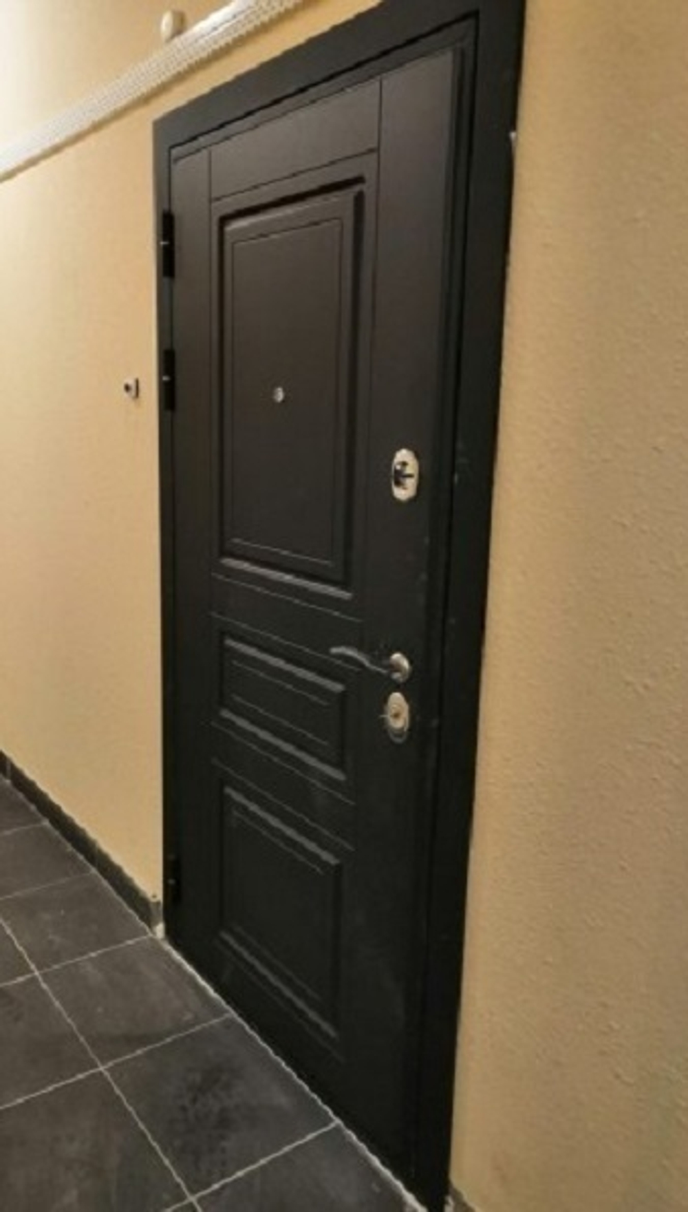 Входная металлическая дверь с зеркалом RеX (РЕКС) Премиум 3К 243 Венге / Пастораль Силк сноу (белый матовый,без текстуры)