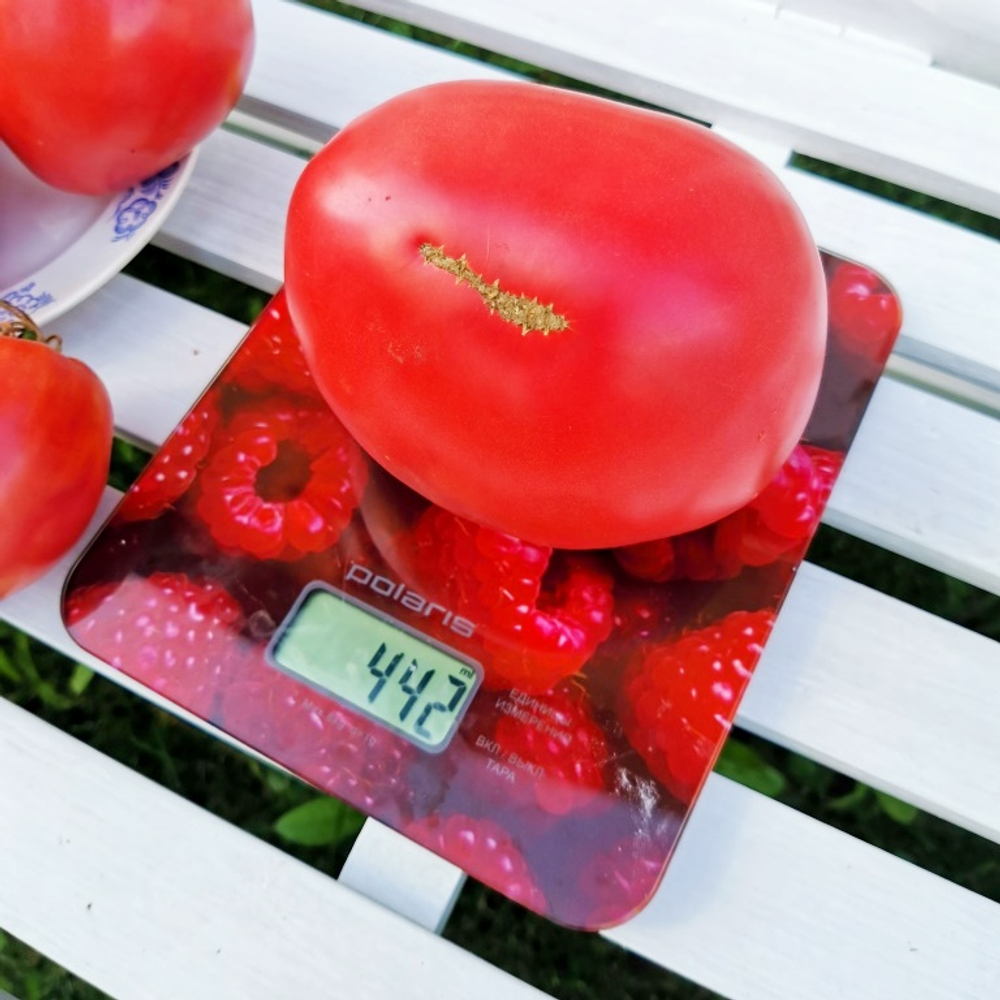 Помидоры Благодарное Сердце