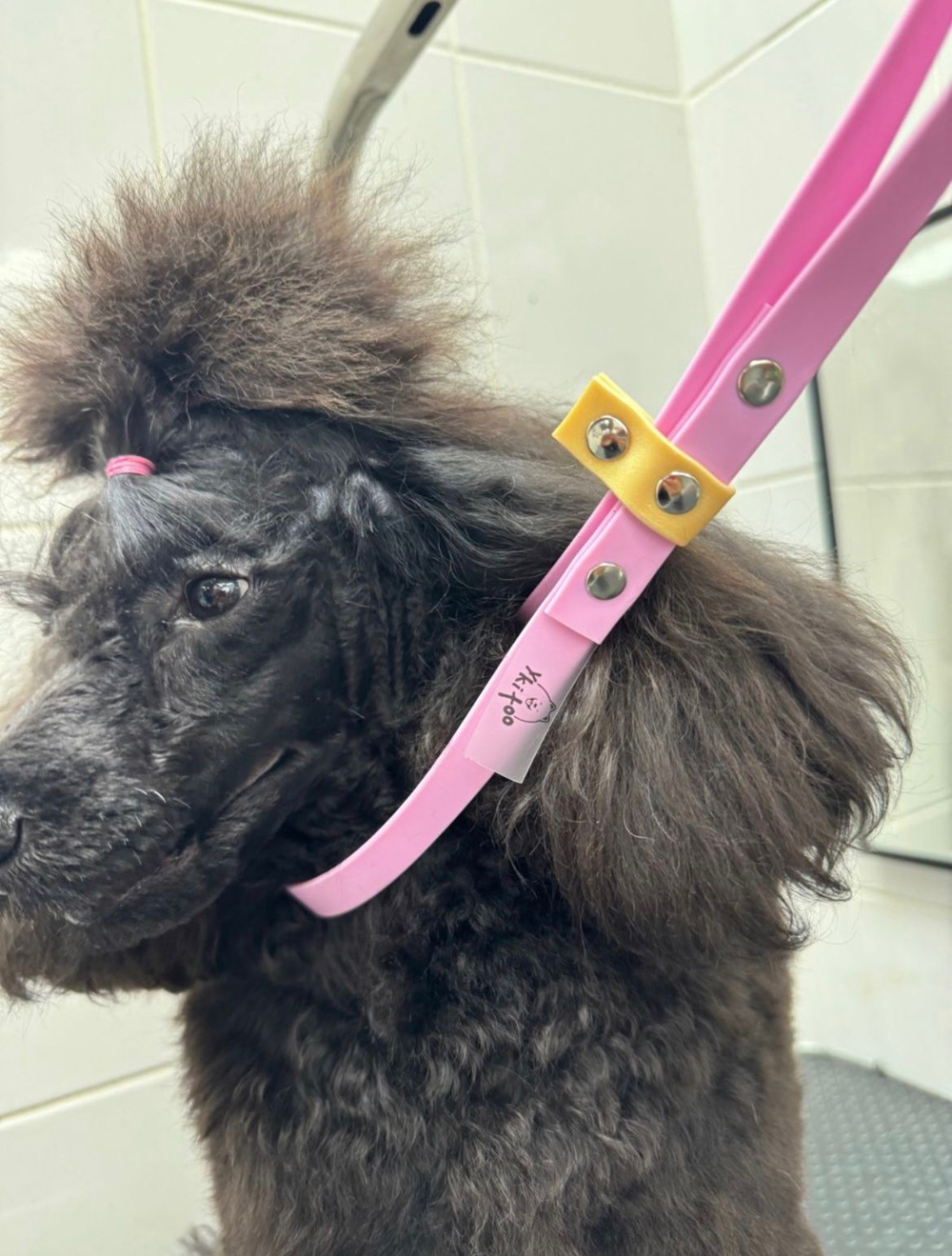 Ринговка груминга из биотана , ширина 15 мм, длина 50 см., зебра