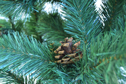 Ель искуственная Царь елка Холидей с шишками 180 см