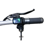 Трехколесный электросамокат Elbike Адъютант Twix 350 A2 (2x350W 48V 20Ah) Trike