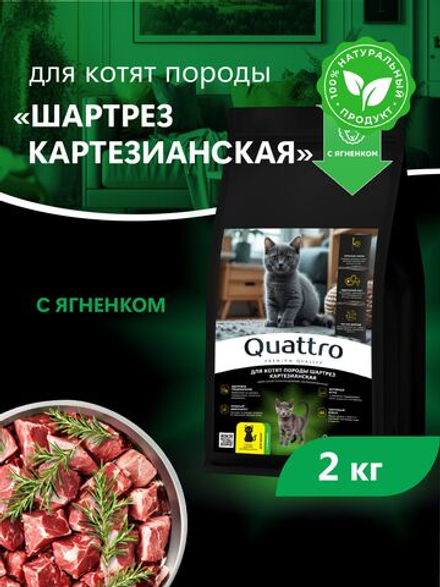 Корм сухой для котят породы Шартрез Картезианская, с ягненком, 2кг, QUATTRO