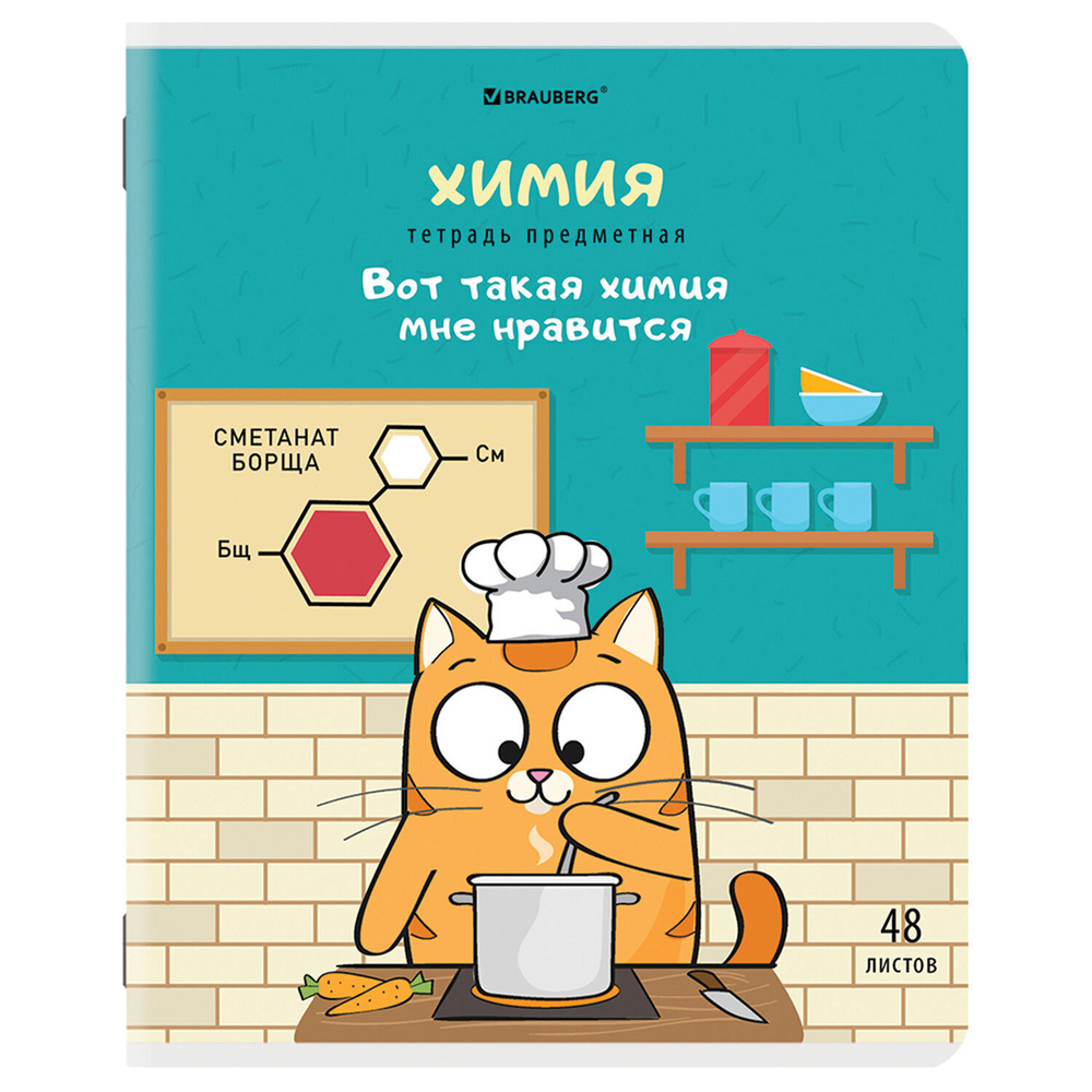 Тетради предметные комплект 12 ПРЕДМЕТОВ 48 л. TWIN-лак BRAUBERG "КОТ-ЭНТУЗИАСТ" (2 штуки в упаковке)