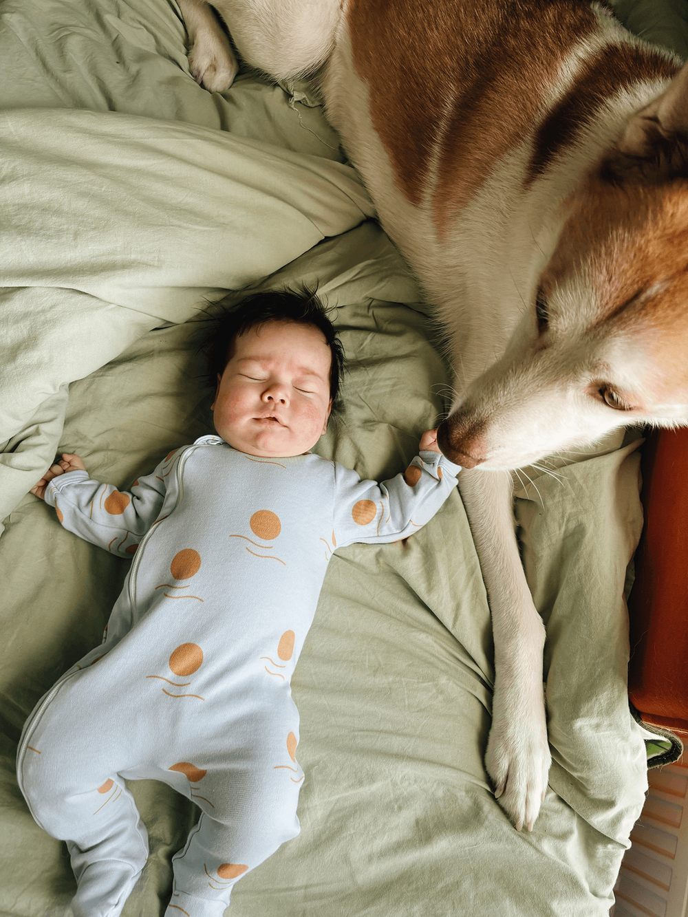 Комбинезон Mjölk Sleep and Play Новый день