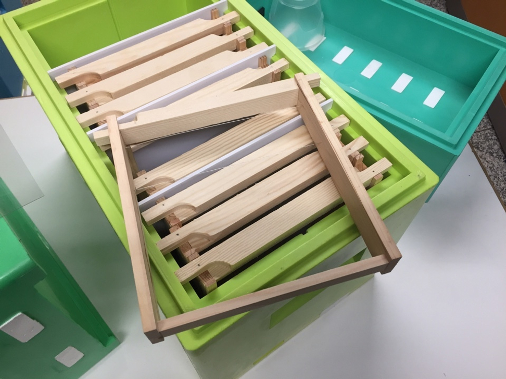 Нуклеус для облета маток 6 рамок (Рут) с перфолистом