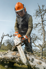 Аккумуляторная пила Stihl  MSA 220 C-B 16" (40см) 3/8"P 1.3 55 зв. без аккумулятора