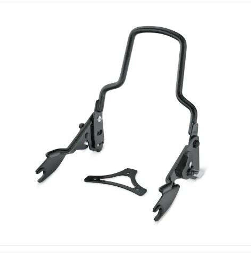 52300258 ДУГА СПИНКИ ПАССАЖИРА TOURING