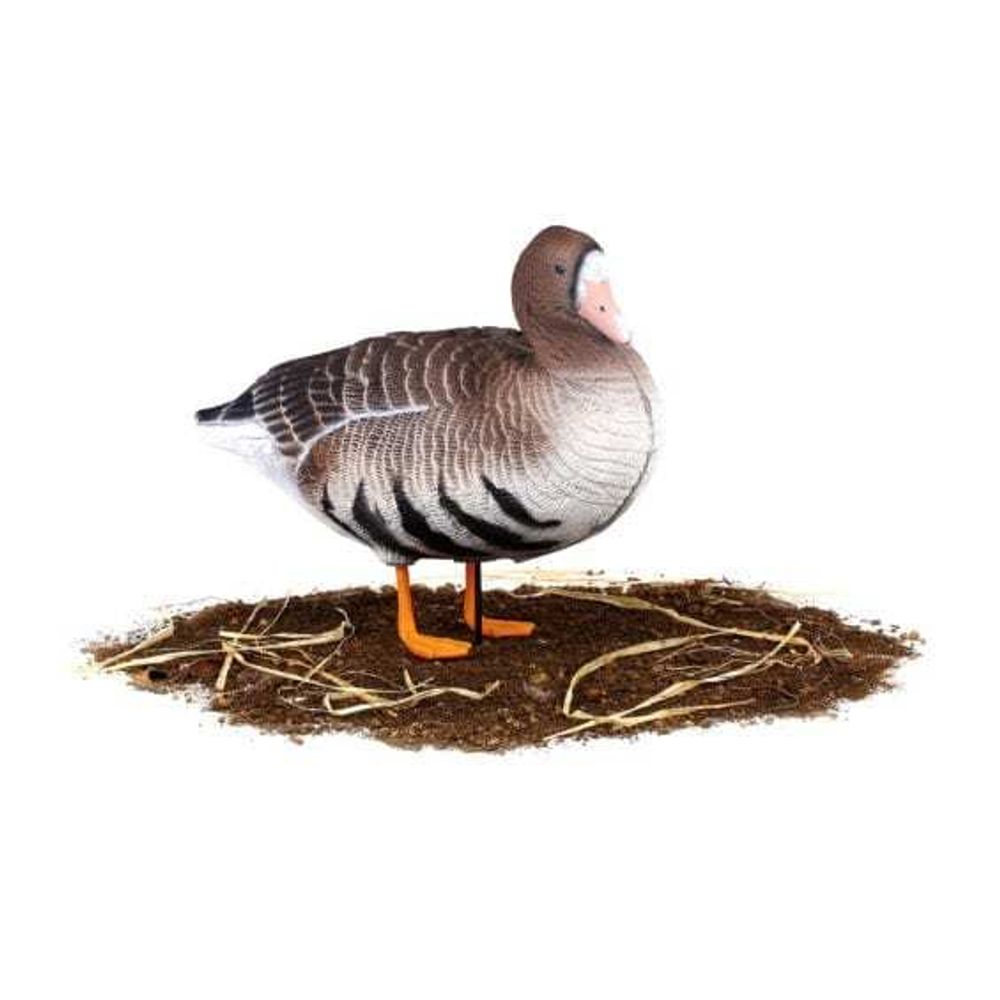 Комплект чучел Белолобый (10шт) S-XPE B622-3D "North Way"