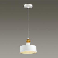 Подвесной светильник Odeon Light 4090/1