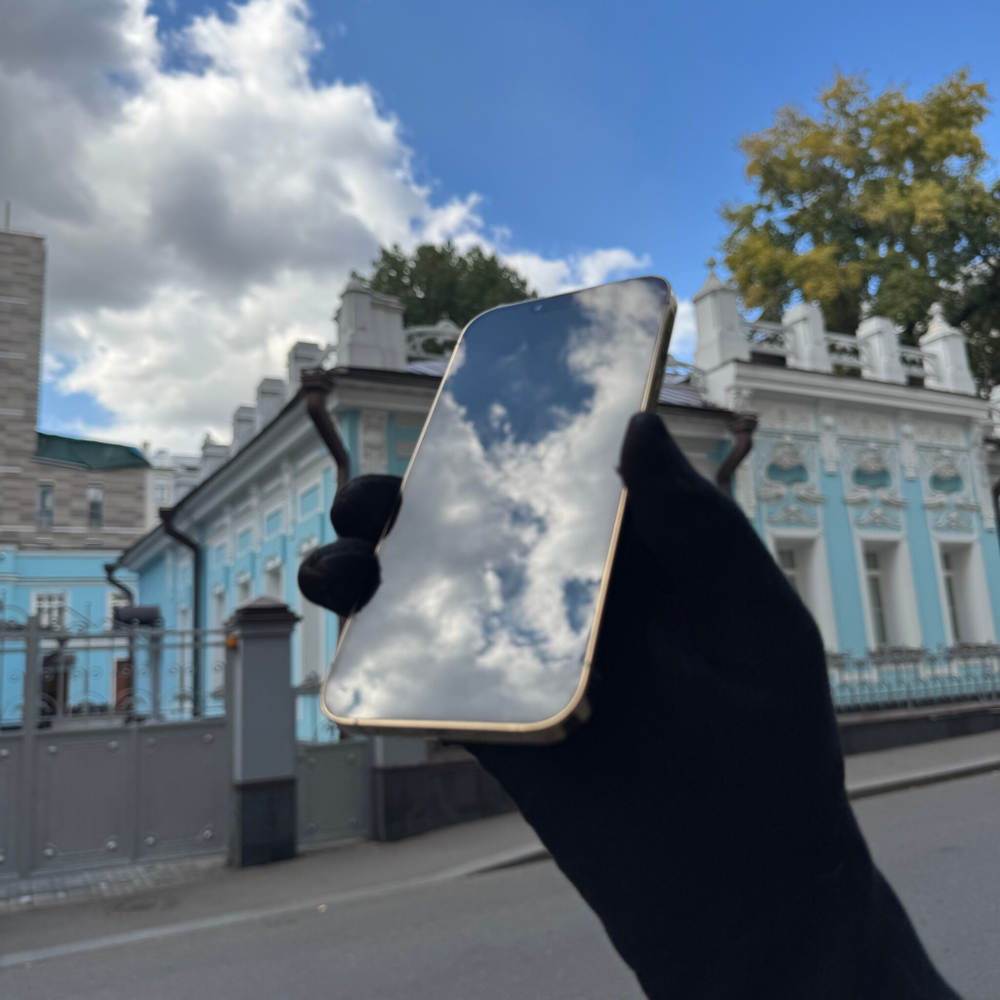 iPhone 13 Pro Max, 256 ГБ б/у