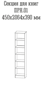 Принцесса 01 Стеллаж (ЦРК.ПРН.01) рамка