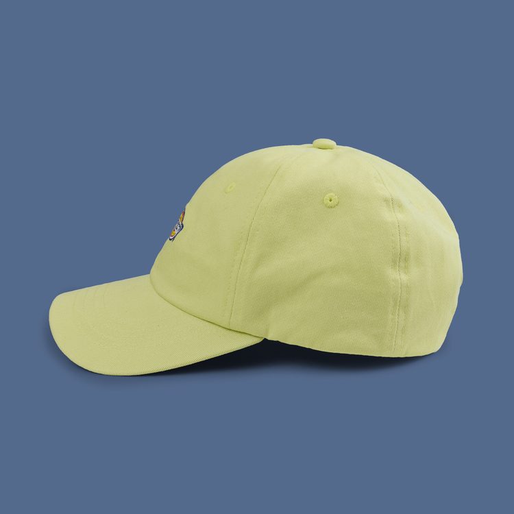 Кепка Dickies Hardwick 6 Panel Logo артикул:DK0A4TKVH141 - купить в магазине Дайс