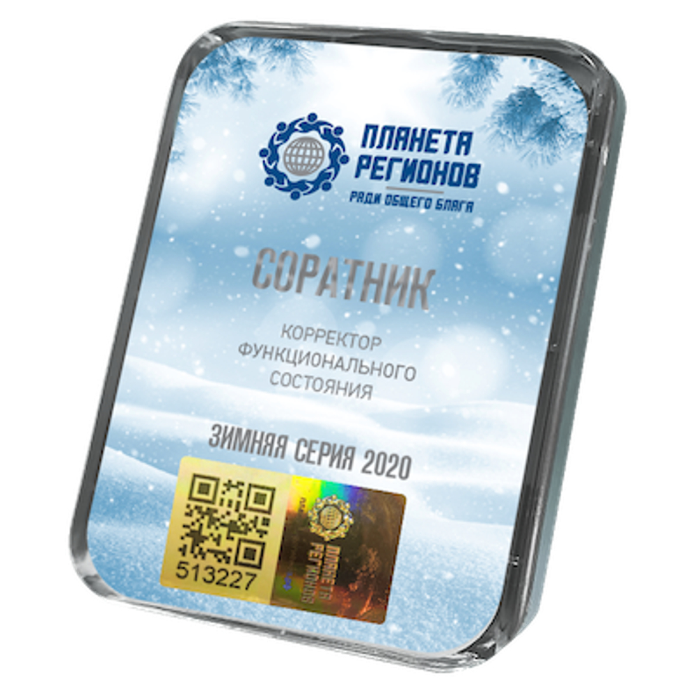 КФС «СОРАТНИК» / CEF «Frère d'armes» / CFS «Brother in arms» / KFS «Waffenbruder»