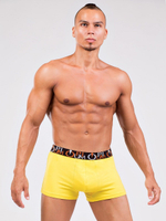 Комфортные мужские боксеры средней посадки (Размер: XL) (Цвет: желтый)