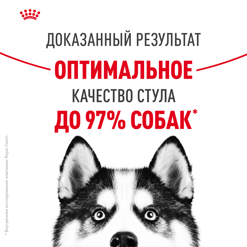Royal Canin Maxi Digestive Care Макси Дайджестив кэа Корм сухой для взрослых собак больших размеров с чувствительным пищеварением 12кг