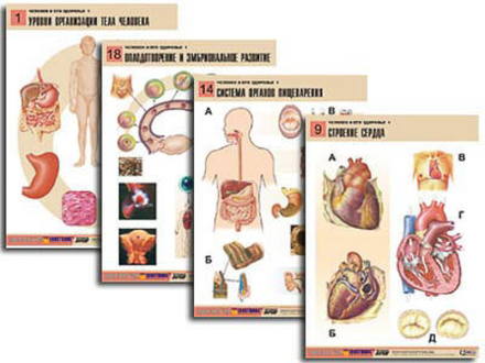 Комплект таблиц "Человек и его здоровье 1" (20 табл, формат А1)