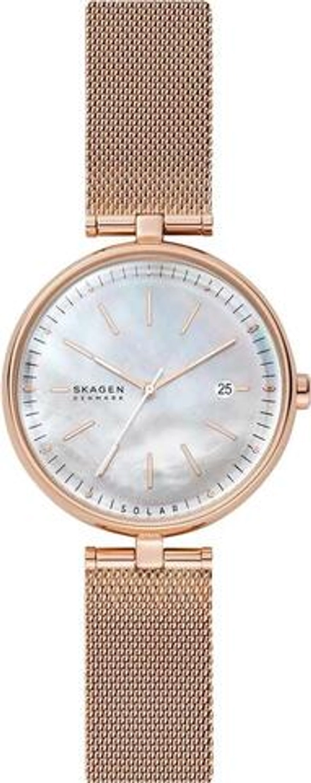 Женские наручные часы Skagen SKW2980